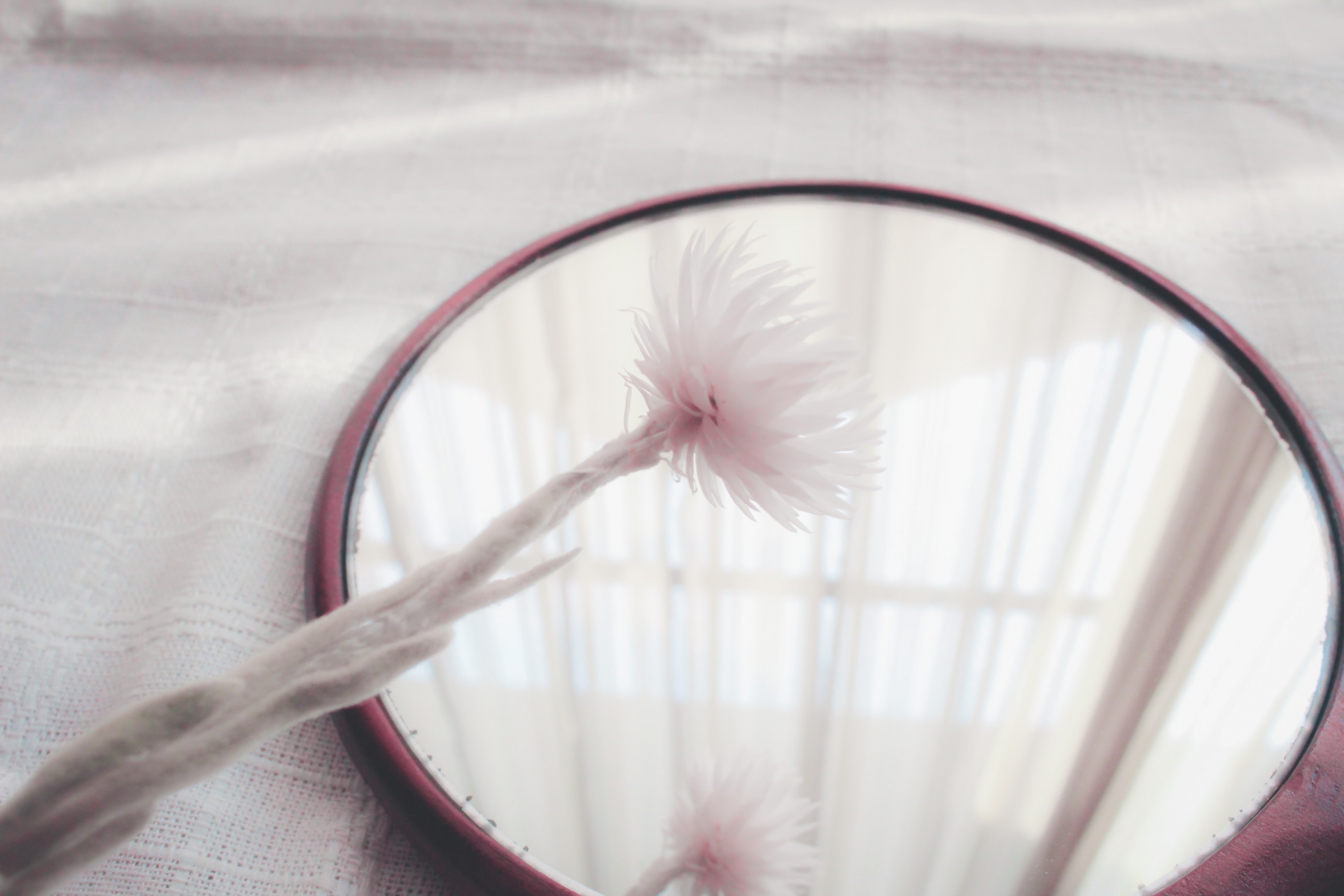 Dried flowers reflected on the polished mirror surface